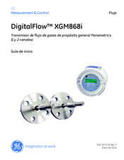 GE DigitalFlow XGM868i Guía De Inicio