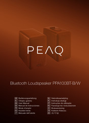 Peaq PPA100BT-W Manual De Instrucciones