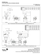 Johnson Controls VG1000 Serie Instrucciones De Instalación