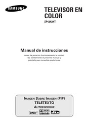 Samsung SP43H3HT Manual De Instrucciones