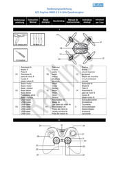 Rayline R802-1 Manual De Instrucciones