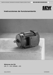 Sew Eurodrive DR Serie Instrucciones De Funcionamiento