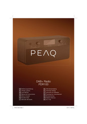 Peaq PDR100 Manual De Instrucciones