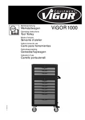 Vigor 1000 Instrucciones De Uso