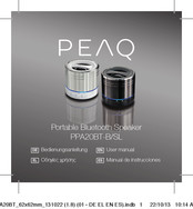 Peaq PPA20BT-SL Manual De Instrucciones