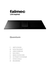 FALMEC Quantum Manual De Instrucciones