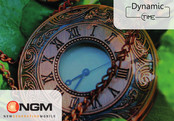 NGM Dynamic Time Guía Rápida