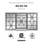 Gaggenau KG 291 CA Manual De Funcionamiento Mantenimiento E Instalación