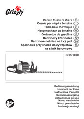 Grizzly BHS 1000 Instrucciones De Uso