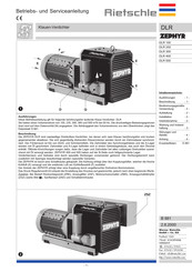 Rietschle ZEPHYR DLR 300 Manual De Instrucciones Y De Servicio