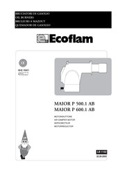 Ecoflam MAIOR P 500.1 AB Manual De Instrucciones