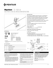 Pentair Raychem E-100-A Instrucciones De Instalación