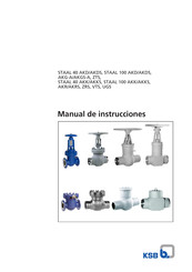 KSB STAAL 100 ZRS Manual De Instrucciones