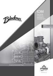 Blackmer PSG 2VM Manual De Instalación, Operación Y Mantenimiento