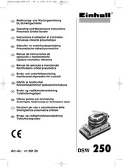 EINHELL DSW 250 Manual De Instrucciones De Operación Y Mantenimiento