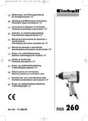 EINHELL DSS 260 Manual De Instrucciones De Operación Y Mantenimiento