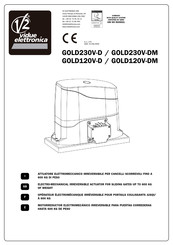 V2 ELETTRONICA GOLD120V-D Manual Del Usuario