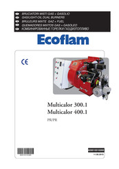 Ecoflam Multicalor 300.1 Manual Del Usuario