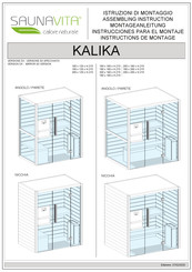 Saunavita KALIKA PARETE Instrucciones Para El Montaje