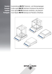 Mettler Toledo MS-TS Guía Rápida