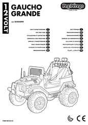 Peg-Perego IGOD0098 Empleo Y Manutencion