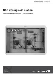 Grundfos DSS Instrucciones De Instalación Y Funcionamiento