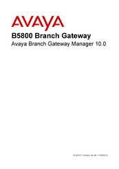 Avaya B5800 Manual Del Usuario