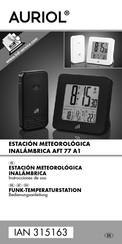 Auriol AFT 77 A1 Instrucciones De Uso