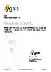 Ygnis condensinox 80 Uso Y Mantenimiento