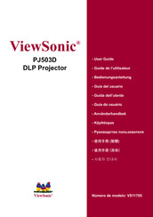 ViewSonic PJ503D Guia Del Usuario