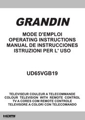 Grandin UD65VGB19 Manual De Instrucciones