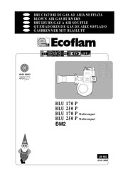 Ecoflam BLU 250 P Manual De Instrucciones