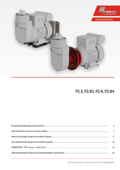 Bühler technologies P2.84 Guía Rápida