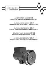 NSM SG2 250F Instrucciones Para Uso Y Mantenimiento