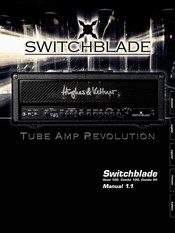 Hughes & Kettner Head 100 Manual De Instrucciones