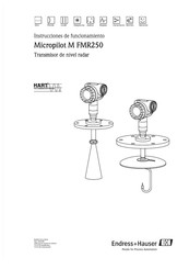Endress+Hauser Micropilot M FMR250 Instrucciones De Funcionamiento