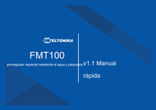 Teltonika FMT100 Manual De Instrucciones