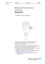 Endress+Hauser Magphant Manual De Instrucciones Abreviado