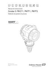Endress+Hauser Cerabar S PMC71 Manual De Instrucciones