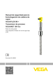 Vega VEGAFLEX 86 Manual De Seguridad