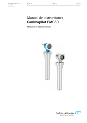 Endress+Hauser Gammapilot FMG50 Manual De Instrucciones