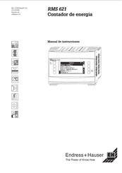 Endress+Hauser RMS 621 Manual De Instrucciones