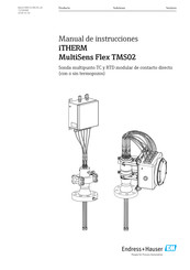 Endress+Hauser iTHERM MultiSens Flex TMS02 Manual De Instrucciones