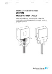 Endress+Hauser iTHERM MultiSens Flex TMS01 Manual De Instrucciones