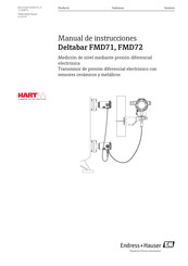 Endress+Hauser Deltabar FMD71 Manual De Instrucciones