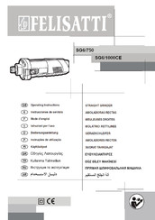 Felisatti SG6/1000CE Instrucciones De Servicio