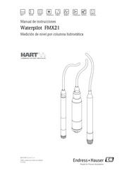 Endress+Hauser Waterpilot FMX21 Manual De Instrucciones