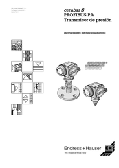 Endress+Hauser cerabar S Instrucciones De Funcionamiento