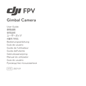 DJI FPV Guía De Usuario