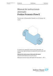 Endress+Hauser Proline Prosonic Flow E Manual De Instrucciones Abreviado